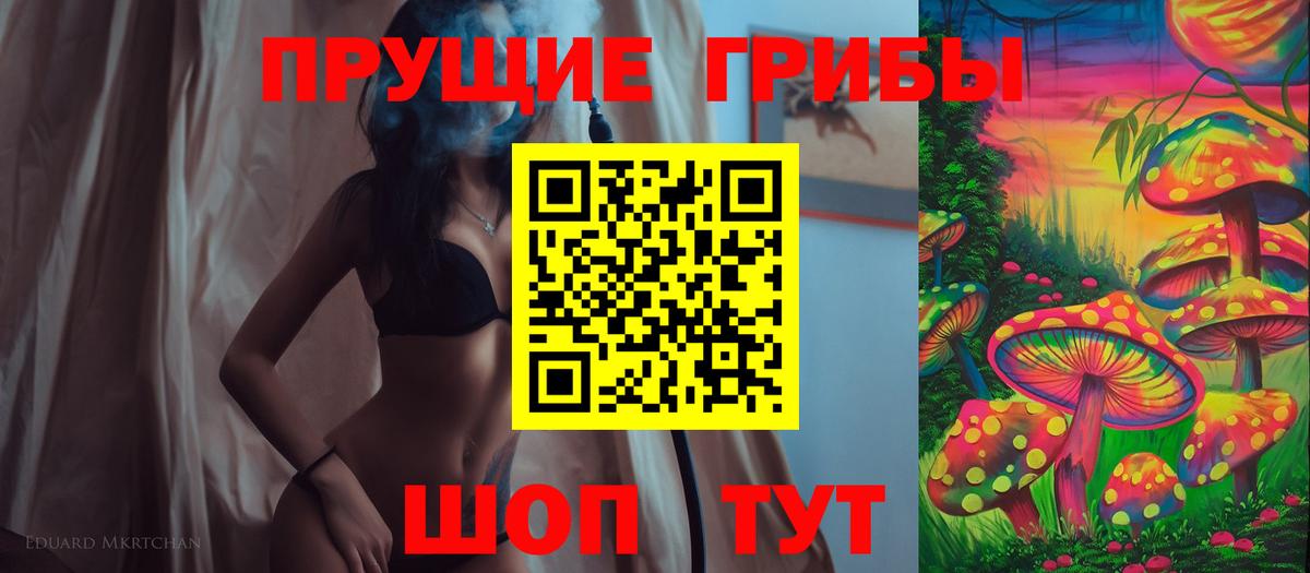 Мичуринск  Псилоцибиновые грибы Cubensis  Вход с VPN 